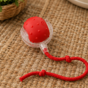 Rolling Cat Toy